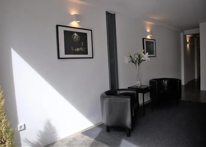 New! Colorful And Oporto